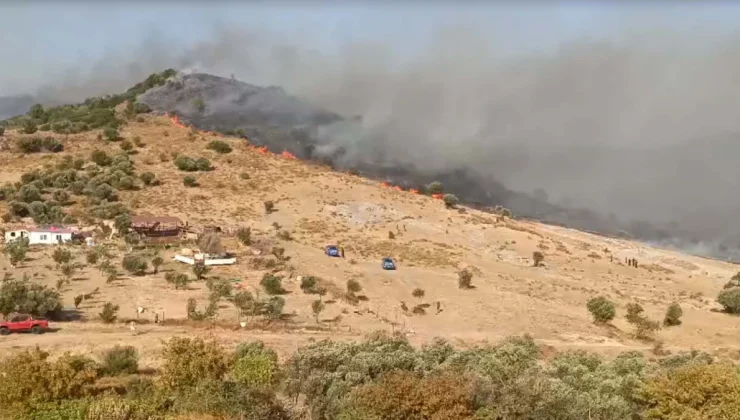 Foça’da Orman Yangını Tehdit Ediyor!