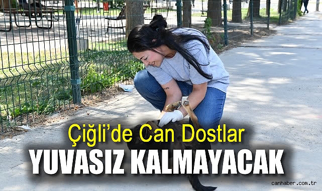 Çiğli’den Hayvanseverlere Yeni Sahiplendirme İmkanı