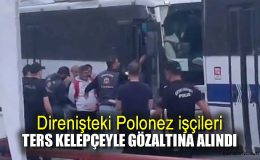 Polonez İşçileri 59. Günde Grevde: Direniş Sürüyor!