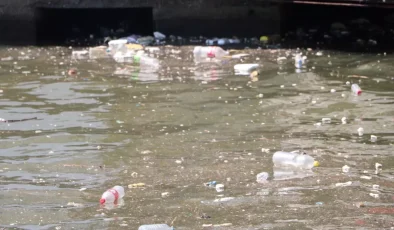 İzmir Körfezi’nde Kirlilik Tepkisi: Temizlik Başladı!