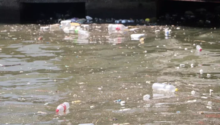 İzmir Körfezi’nde Kirlilik Tepkisi: Temizlik Başladı!