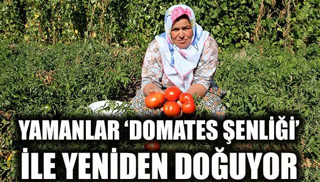 Yamanlar’da Dayanışma ve Eğlence: Domates Şenliği!