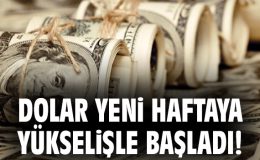 Döviz Kurlarında Son Durum: Dolar ve Euro Ne Kadar?