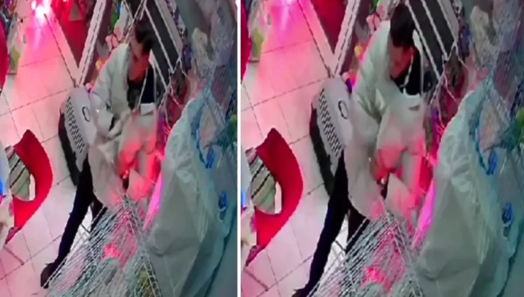 İzmir’de Petshop’ta Şok Hırsızlık: Kedi Çalındı!