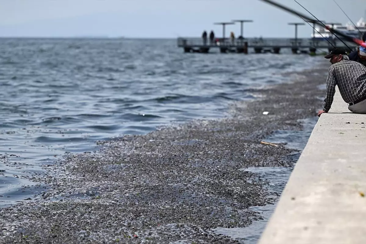 İzmir Körfezi’ndeki Kirlilik İçin Soruşturma Başlatıldı