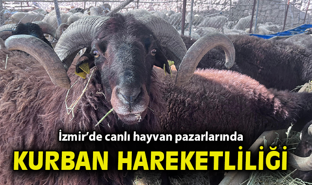 İzmir’de Kurban Pazarında Fiyatlar Yükseliyor!