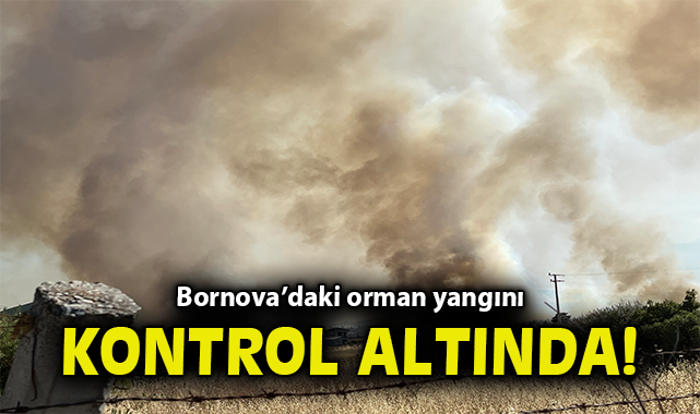 İzmir’de Yangın: 3 Ev Küle Döndü, 3 Gözaltı!