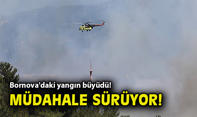 Bornova’da yangın: Hızla yayılan alevler!