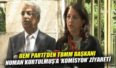 DEM Parti’den Barış Sürecine Destek Ziyareti