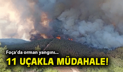 Foça’da Orman Yangını: Ekipler Seferber Oldu!