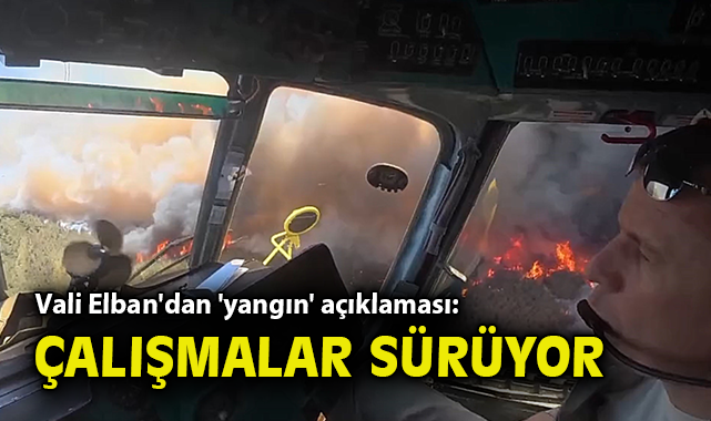 Aliağa’da Orman Yangını: Havadan ve Karadan Müdahele!