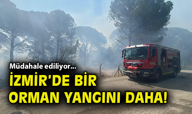 İzmir’de Anız Yangını Ormanı Tehdit Ediyor!