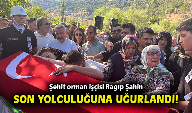 Orman Kahramanı Ragıp Şahin Şehit Düştü