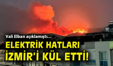 İzmir Yangınlarının Sorumlusu: Elektrik Hatları mı?
