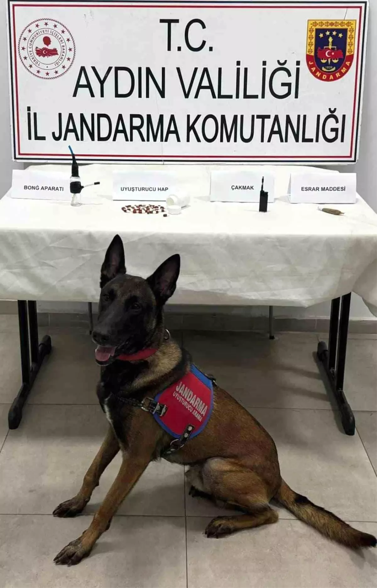 Germencik’te Uyuşturucu Operasyonu: İki Gözaltı!