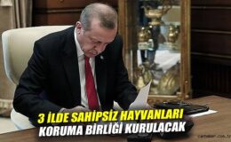 Sahipsiz Hayvanlara Üç İlde Koruma Birliği Kuruluyor!