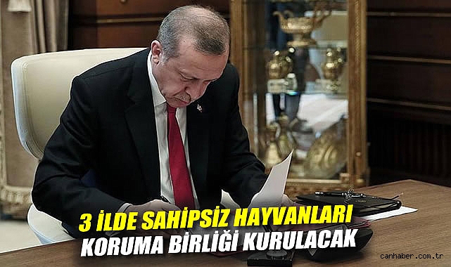 Sahipsiz Hayvanlara Üç İlde Koruma Birliği Kuruluyor!