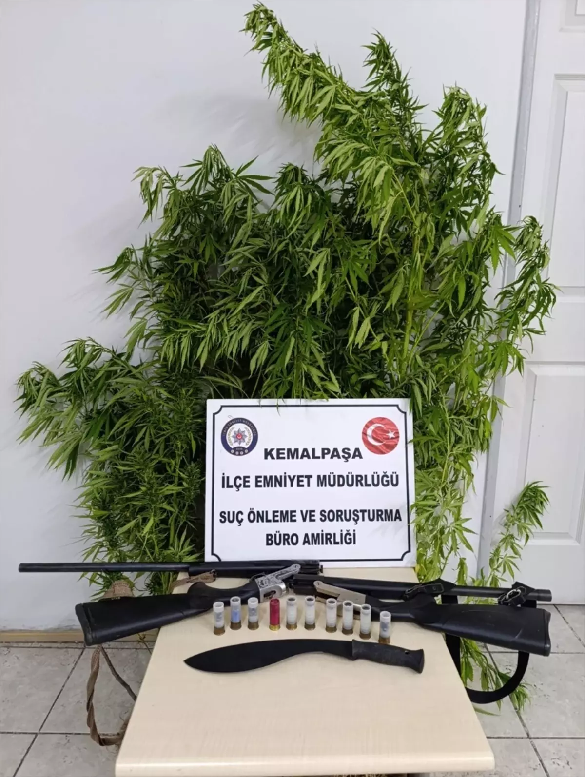 İzmir’de Bahçede Hint Keneviri Yetiştiren Şüpheli!