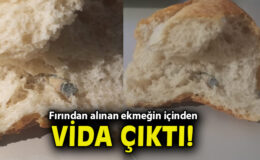 Ekmekteki Metal Vida Aileyi Şok Etti!