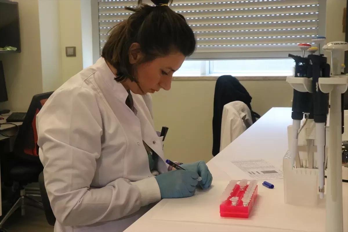 Nadir Hastalıklara Umut: 70 Yeni Tanı!