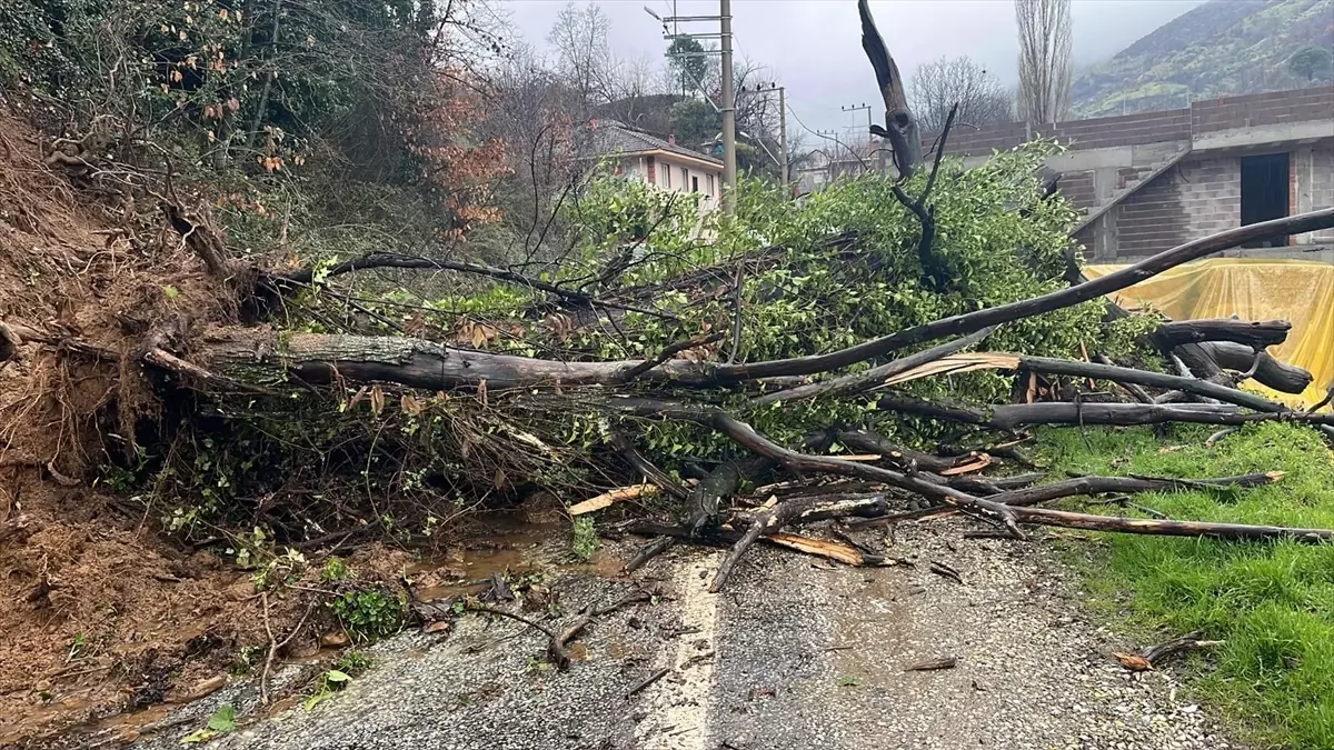 Ödemiş’te Şiddetli Yağış Heyelan Yarattı
