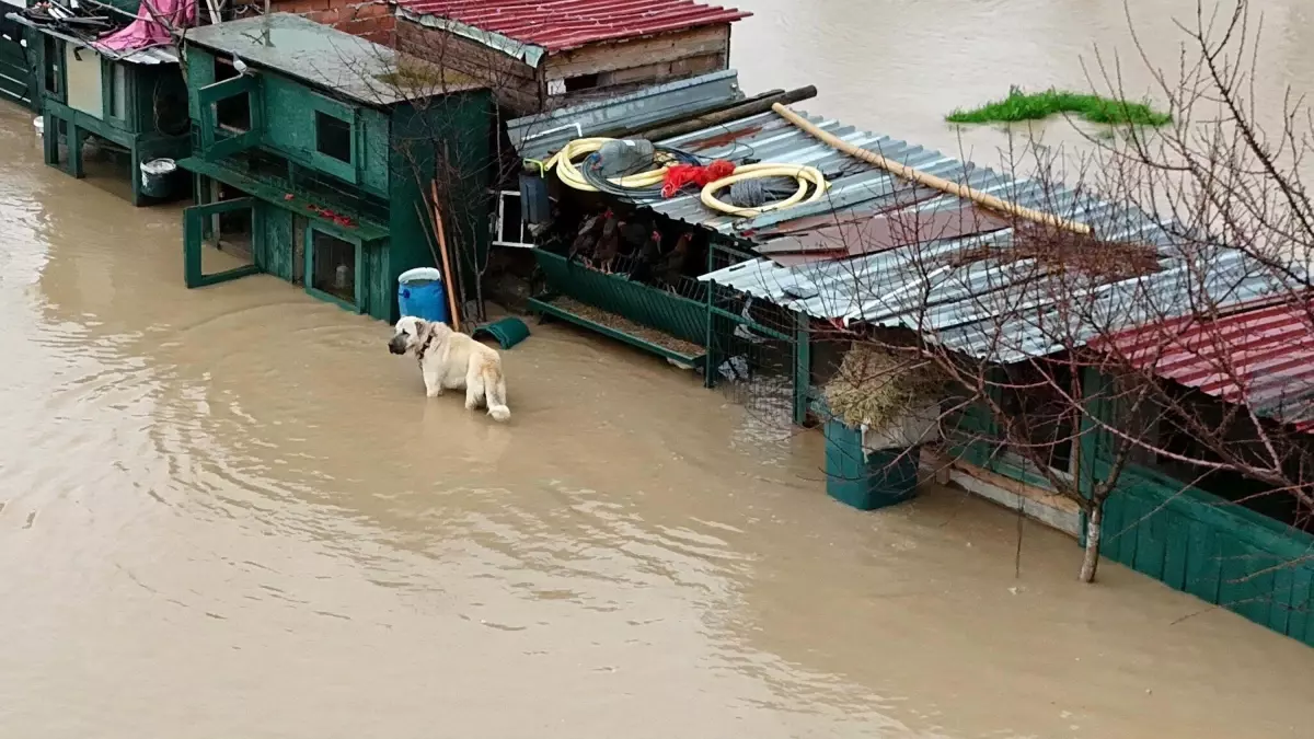 İzmir’de Sağanak: Ekipler Seferber Oldu!
