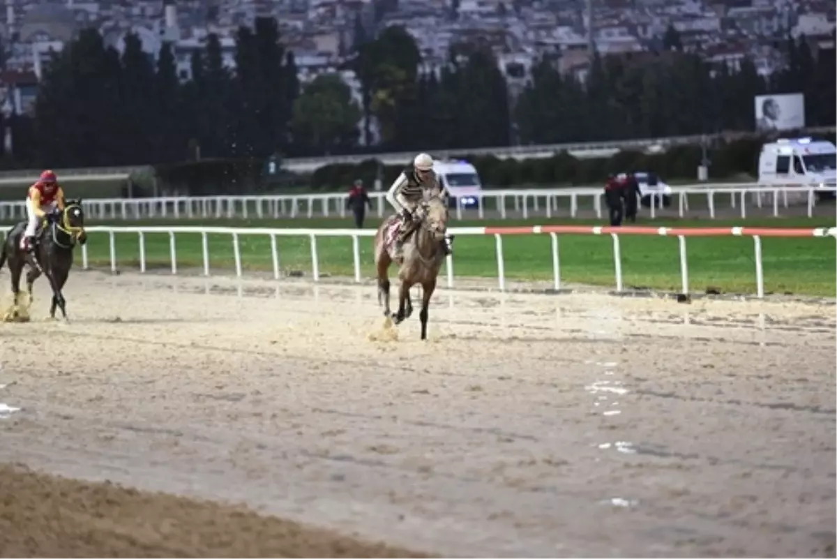 Queen Sev, TJK Koşusu’nda zafer kazandı!