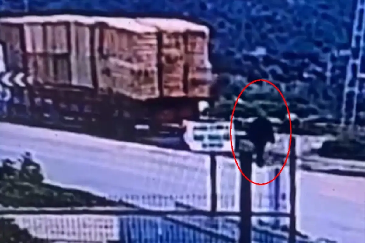 Saman Balyaları Altında Can Veren Adamın Hikayesi