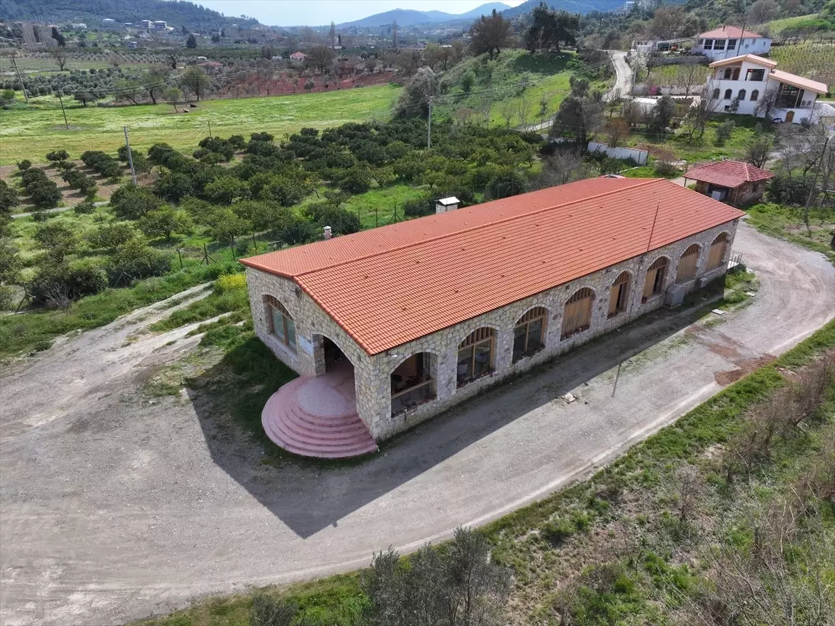 Zeytinyağı Kütüphanesi, Tadımda Yeni Bir Deneyim!