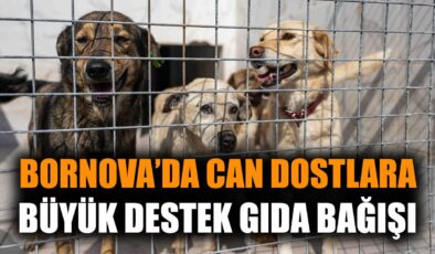 Hayvanlara Vefa: 1.128 Ürün Bağışı Yapıldı!