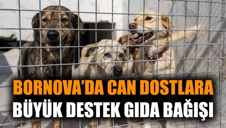 Hayvanlara Vefa: 1.128 Ürün Bağışı Yapıldı!