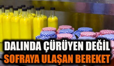 Balçova’da Doğa Bereketi İhtiyaç Sahiplerine Ulaşıyor