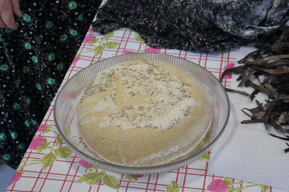 Deniz Çayırı Tohumları: Geleceğin İki Işığı