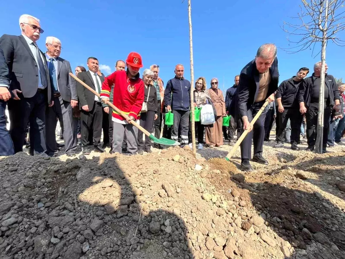 İzmir’de 4,200 Ağaçla Mikro Orman Kuruluyor!