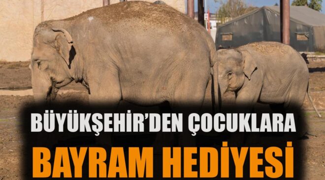 İzmir’de 23 Nisan Coşkusu: Doğal Yaşam Parkı Ücretsiz!