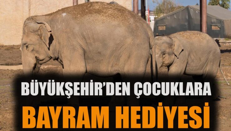 İzmir’de 23 Nisan Coşkusu: Doğal Yaşam Parkı Ücretsiz!