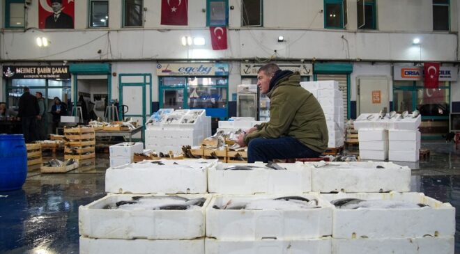 Ege Balıkçılarından Bereketli Av Sezonu Sonucu!