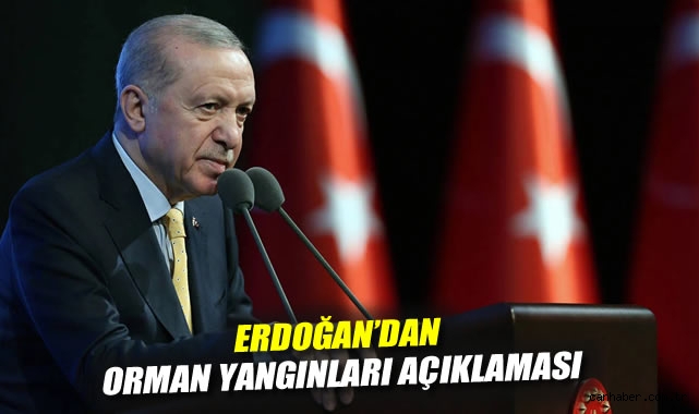 Erdoğan: Yangınlarla Etkili Mücadele İçin Hazırız