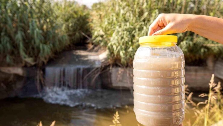 Gediz Nehri’ndeki Kirlilik: Acil Önlem Zamanı!