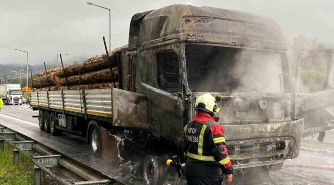 Aydın’da Tır Yangını, Yangın Kontrol Altına Alındı