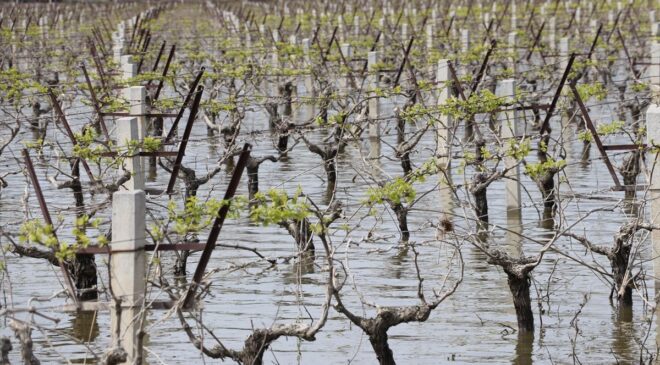 Şemsi Bayraktar Sel Felaketini Değerlendirdi