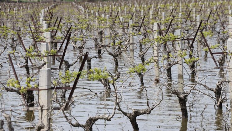Şemsi Bayraktar Sel Felaketini Değerlendirdi